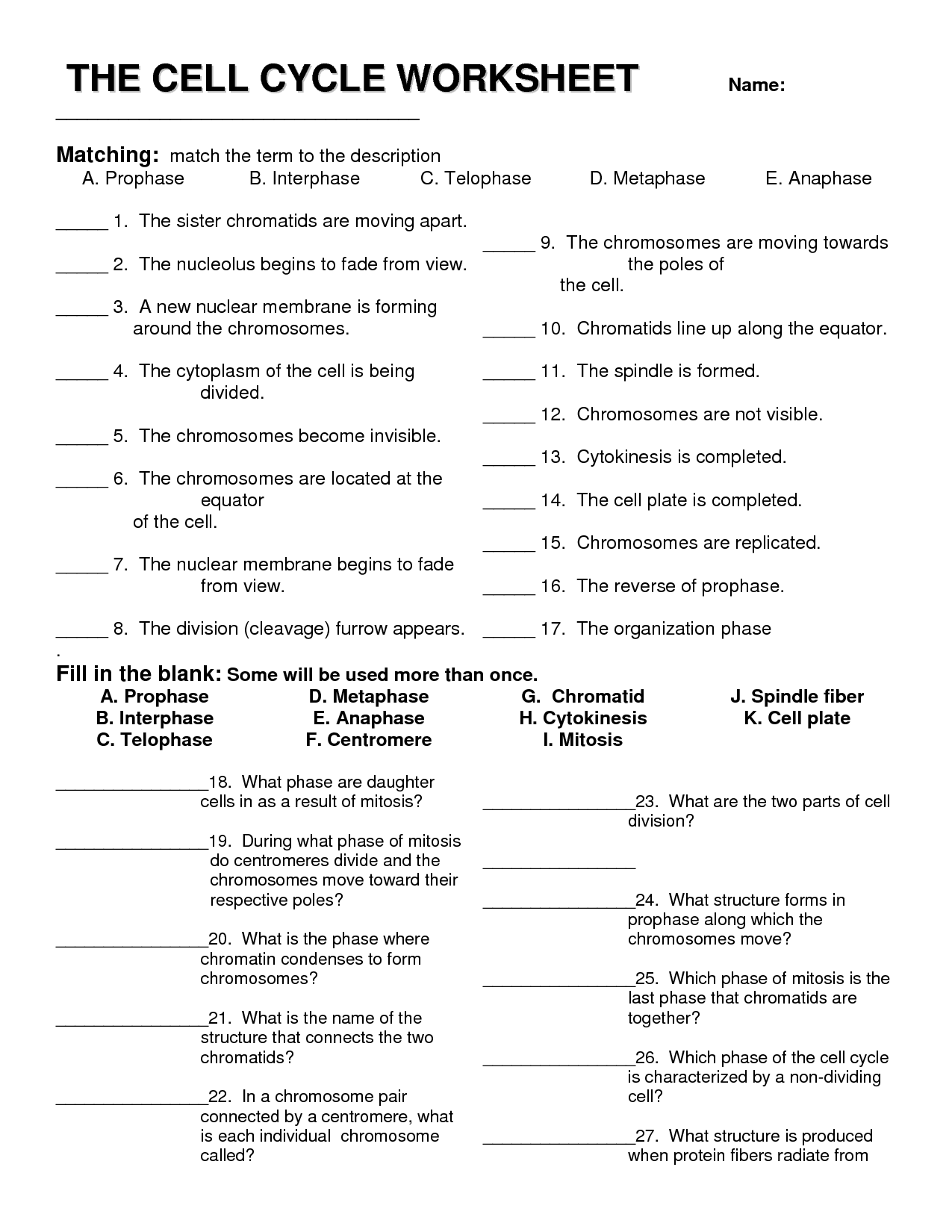 animal Class  answer Pinzon's My Class Ms. worksheet Grade 6th  Science Science key tissues